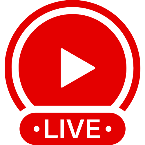 Hamsterlive | Live Webcam Shows & Interactive Adult Entertainment